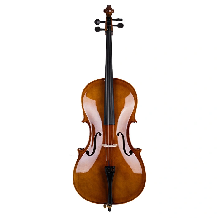 Violoncello